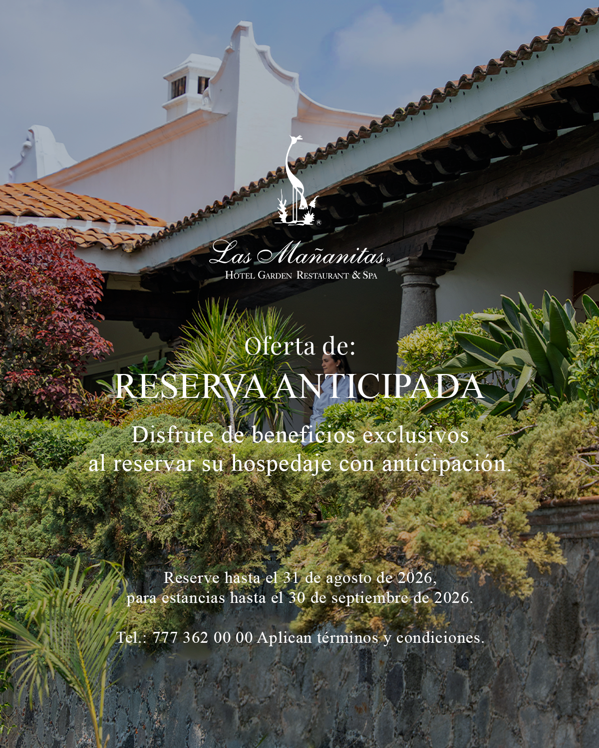 Imagen 4